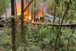 Russia plane crash